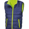 Navy/Lime