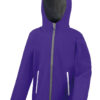 Purple/Grey