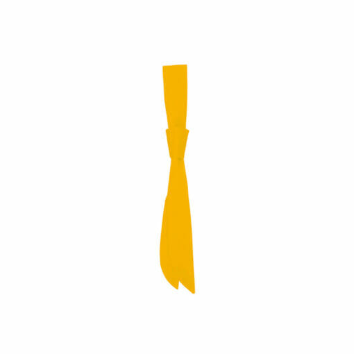 AK_3_22_b_front
