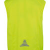 Neon Lime