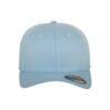 Carolina Blue